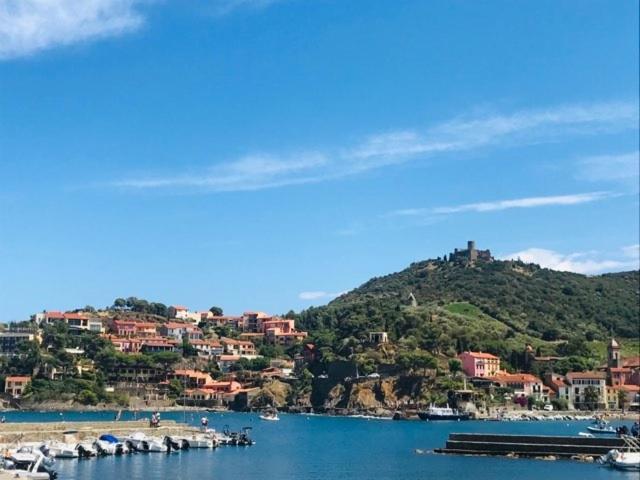 Villa Confort Et Cosy 20 Minutes D'Espagne Plage d'Argeles Exterior foto