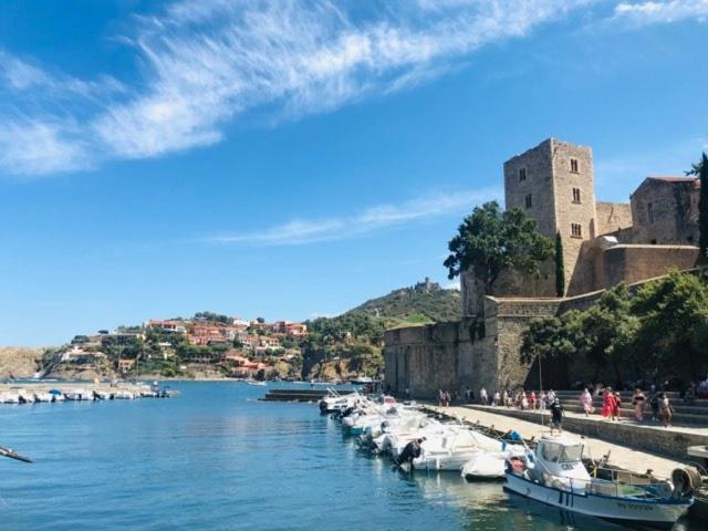 Villa Confort Et Cosy 20 Minutes D'Espagne Plage d'Argeles Exterior foto